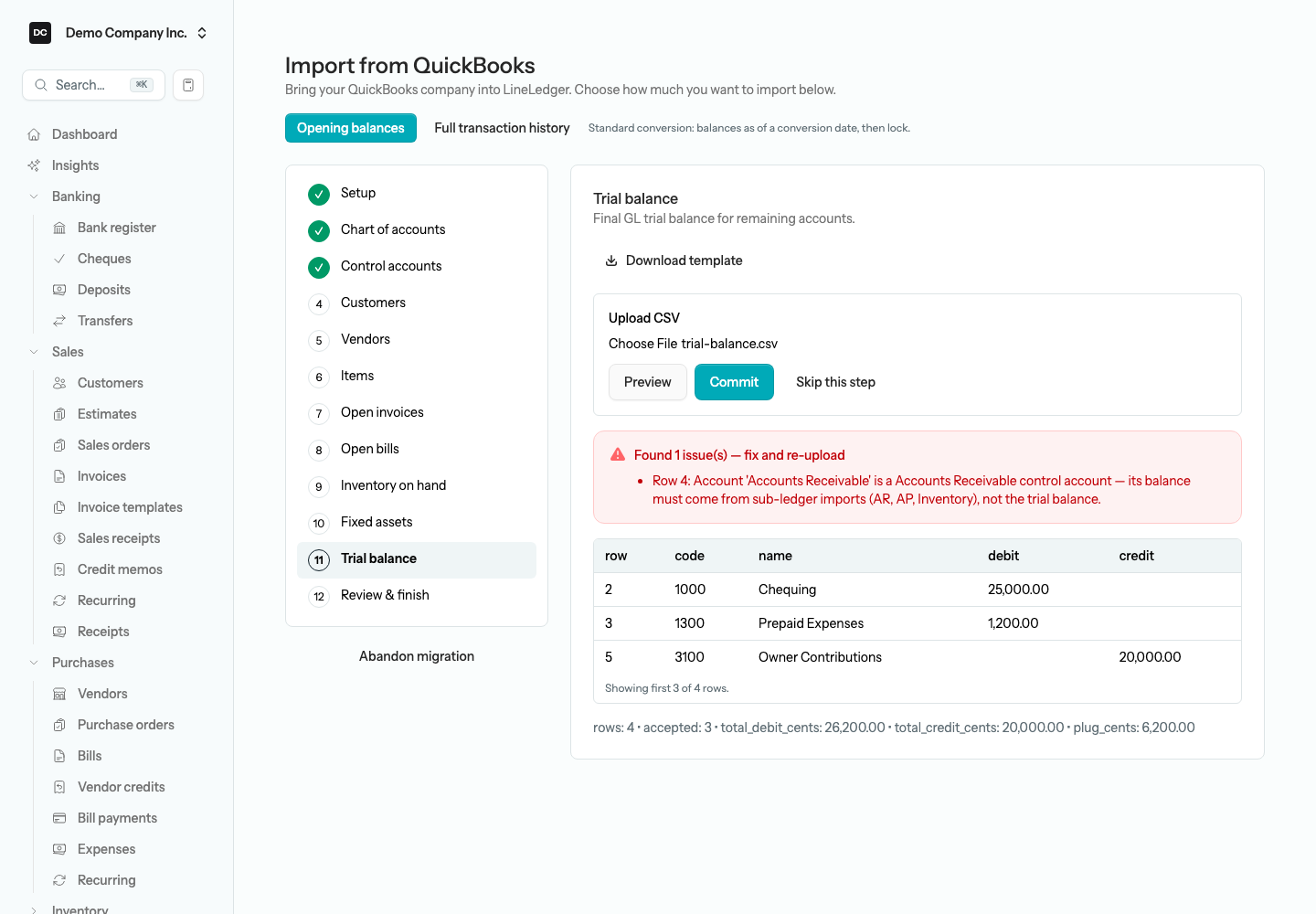 The Trial balance step after Preview, listing each matched account code with its debit or credit amount and the issues callout for any rejected row